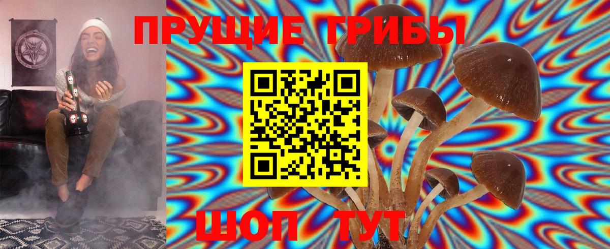 Псилоцибиновые грибы Psilocybine cubensis  где можно купить   Ирбит  Вход с VPN 
