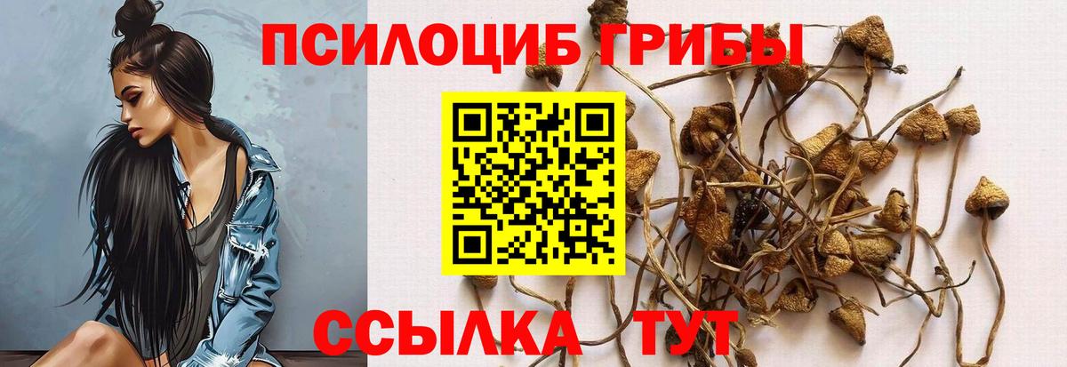 Псилоцибиновые грибы мицелий Ирбит